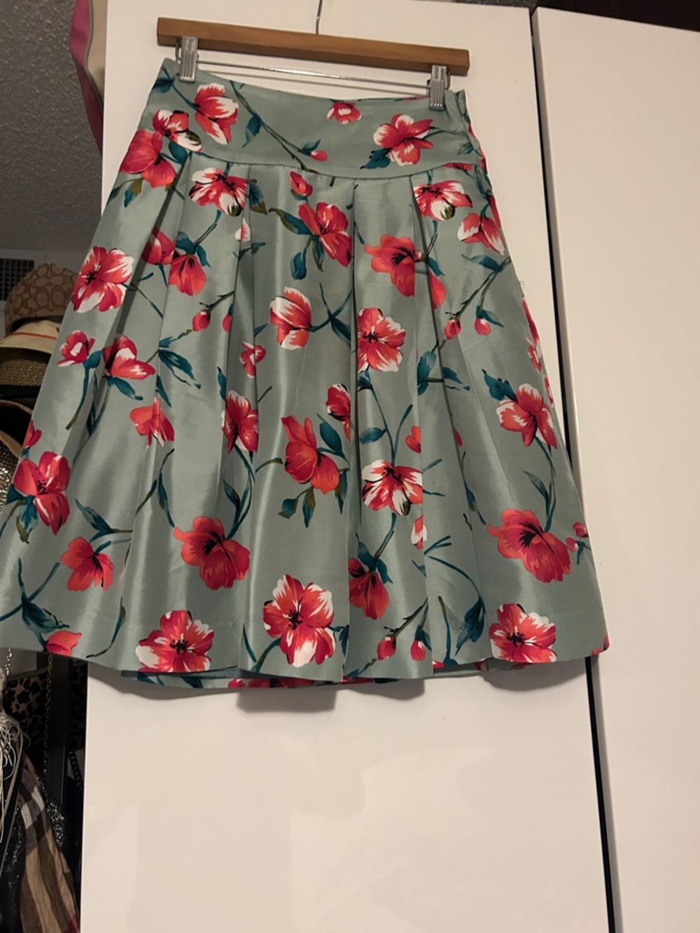 Express Sage Circle Skirt with Red Floral Print